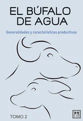Luis Alberto de la Cruz Cruz - El búfalo de agua. Tomo 2