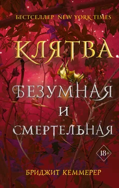 Бриджит Кеммерер Клятва безумная и смертельная обложка книги