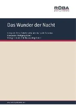 Wolfgang Kähne Das Wunder der Nacht обложка книги