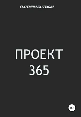 Екатерина Пастухова Проект 365 обложка книги