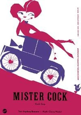 Ingeburg Branoner Mister Cock обложка книги