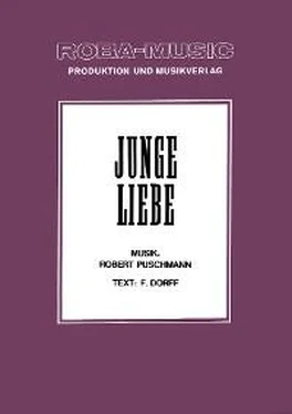Werner Lang Junge Liebe обложка книги