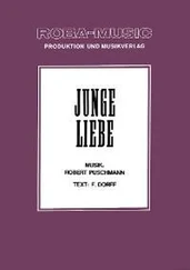 Werner Lang - Junge Liebe