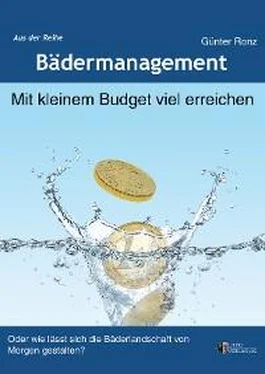 Günter Ronz Mit kleinem Budget viel erreichen обложка книги
