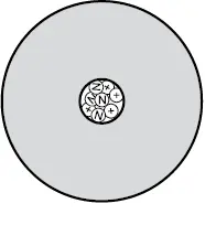 Das Bohrsche Atommodell Die positiv geladenen αTeilc - фото 24