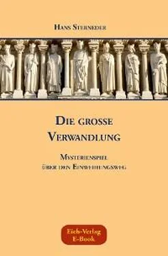 Hans Sterneder Die große Verwandlung обложка книги