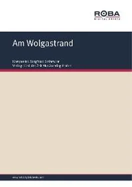 Siegfried Bethmann Am Wolgastrand обложка книги