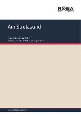 Bernd Thomas Am Strelasund обложка книги