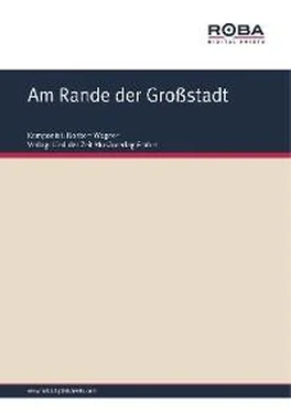 Arnold Bormann Am Rande der Großstadt обложка книги