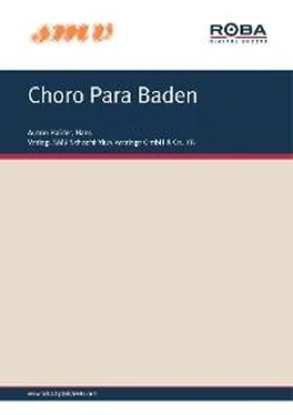 Hans Haider Choro Para Baden обложка книги