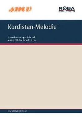Raimund Rosenberger Kurdistan-Melodie обложка книги