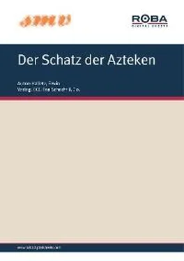 Erwin Halletz Der Schatz der Azteken обложка книги