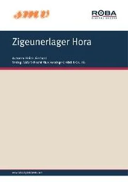 Gerhard Heinz Zigeunerlager Hora обложка книги