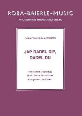 Werner Böhm-Thorn Jap Dadel Dip, Dadel Du обложка книги