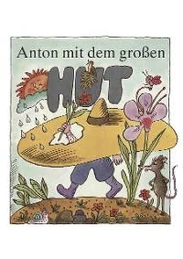 Ingeborg Feustel Anton mit dem großen Hut обложка книги