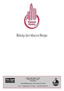 Christian Bruhn König der blauen Berge обложка книги