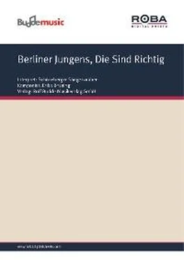 Erika Brüning Berliner Jungens, Die Sind Richtig обложка книги