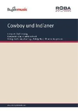 Bernd Schöler Cowboy und Indianer обложка книги