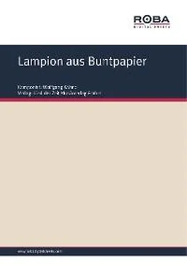 Wolfgang Kähne Lampion aus Buntpapier обложка книги