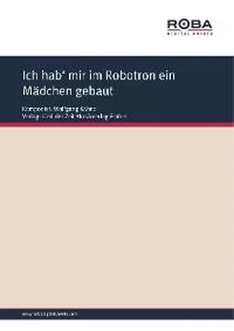 Wolfgang Kähne Ich hab' mir im Robotron ein Mädchen gebaut обложка книги