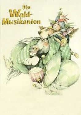 Rudi Werion Die Waldmusikanten обложка книги