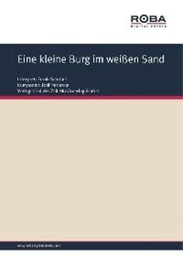 Dieter Schneider Eine kleine Burg im weißen Sand обложка книги