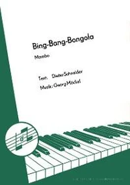 Dieter Schneider Bing-Bang-Bongola обложка книги