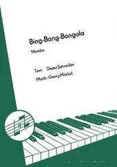 Dieter Schneider - Bing-Bang-Bongola