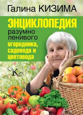 Галина Кизима Энциклопедия разумно ленивого огородника, садовода и цветовода обложка книги