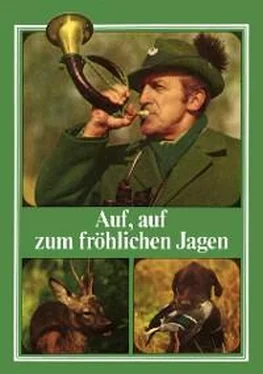 Willibald Winkler Auf, auf zum fröhlichen Jagen обложка книги