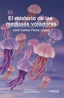 José Carlos Pérez López El misterio de las medusas voladoras обложка книги