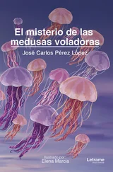 José Carlos Pérez López - El misterio de las medusas voladoras