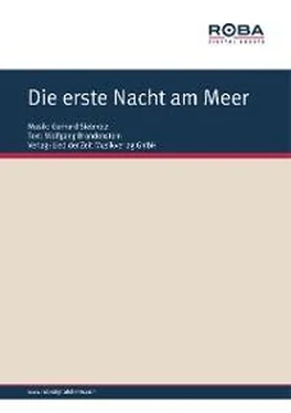 Gerhard Siebholz Die erste Nacht am Meer обложка книги