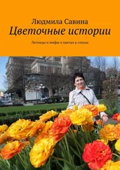 Людмила Савина - Цветочные истории. Легенды и мифы о цветах в стихах