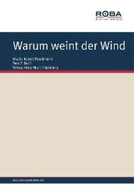 Werner Lang Warum weint der Wind обложка книги