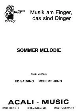 Robert Jung Sommer Melodie обложка книги