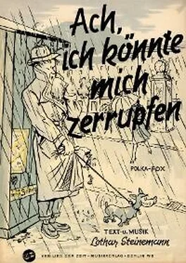 Georg Möckel Ach, ich könnte mich zerrupfen обложка книги