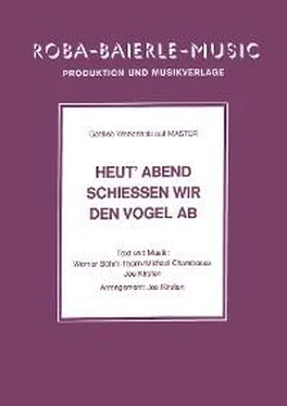 Werner Böhm-Thorn Heut' Abend schiessen wir den Vogel ab обложка книги