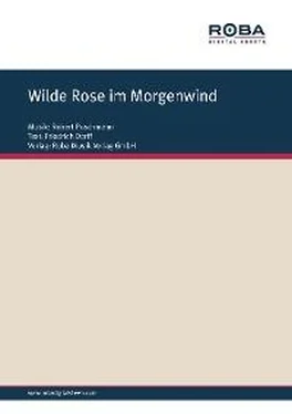 Robert Puschmann Wilde Rose im Morgenwind обложка книги