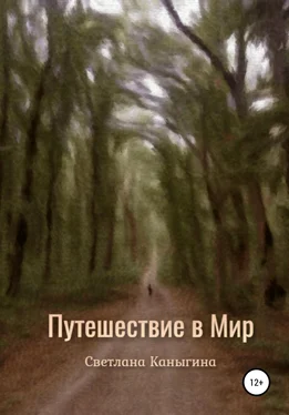 Светлана Каныгина Путешествие в Мир обложка книги