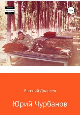 Евгений Додолев Юрий Чурбанов обложка книги