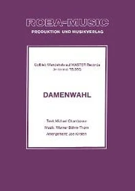 Werner Böhm-Thorn Damenwahl обложка книги