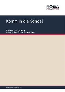 F. Zell Komm in die Gondel обложка книги