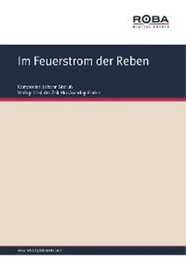 Richard Genée Im Feuerstrom der Reben обложка книги