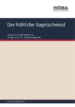 Siegfried Bethmann Der fröhliche Nagelschmied обложка книги