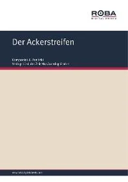 I. Panitzki Der Ackerstreifen обложка книги