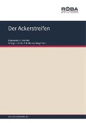 I. Panitzki - Der Ackerstreifen