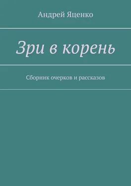 Андрей Яценко Зри в корень. Сборник очерков и рассказов обложка книги