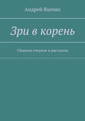 Андрей Яценко - Зри в корень. Сборник очерков и рассказов
