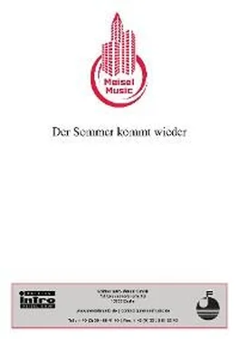 Christian Bruhn Der Sommer kommt wieder обложка книги